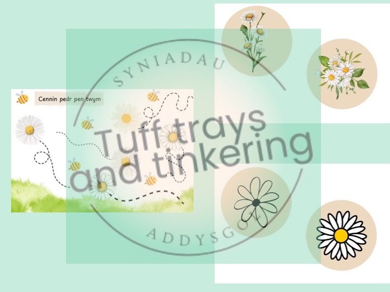 dizzy daisies loose parts Curriculum for Wales Early Years PS1 addysg Cymraeg