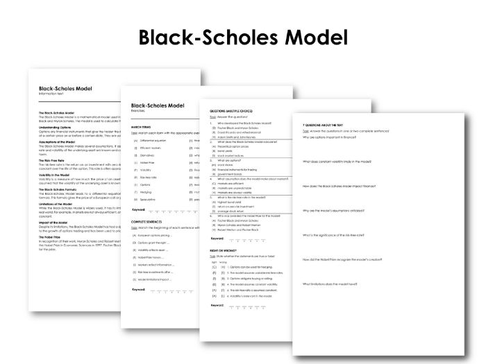 BlackScholes Model Teaching Resources