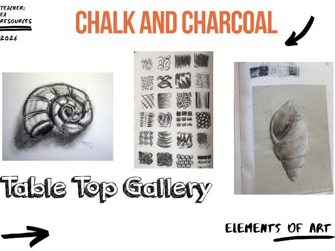 Observational Drawing: Shell Study Using Chalk and Charcoal