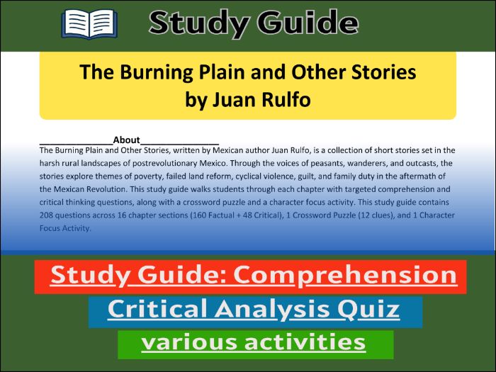 The Burning Plain and Other Stories - Study Guide , Comprehension 91����t
