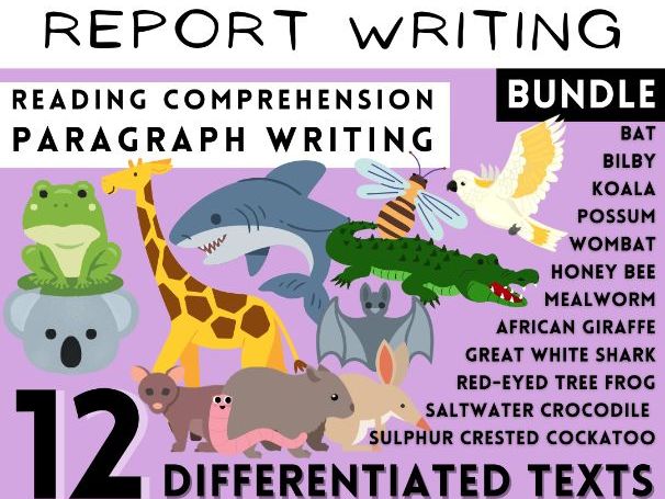 12 Animal Information Texts, Report Writing & Reading Analysis Workbook Bundle