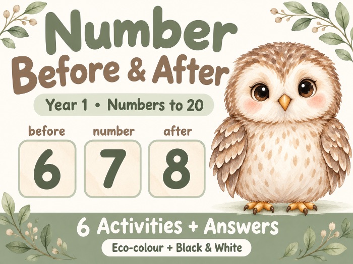 Number Before and After to 20 | Year 1 Maths Worksheets
