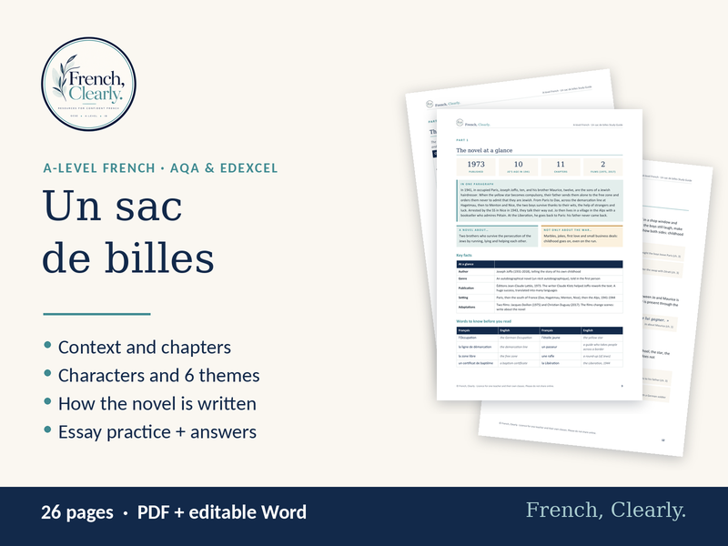 A-level French Un sac de billes Study Guide (AQA & Edexcel) – Themes, Characters & Essays
