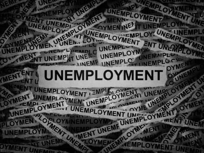 Cambridge AS Level Economics - 4.5  Unemployment