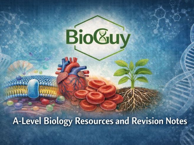 Edexcel Biology B: Gas Exchange