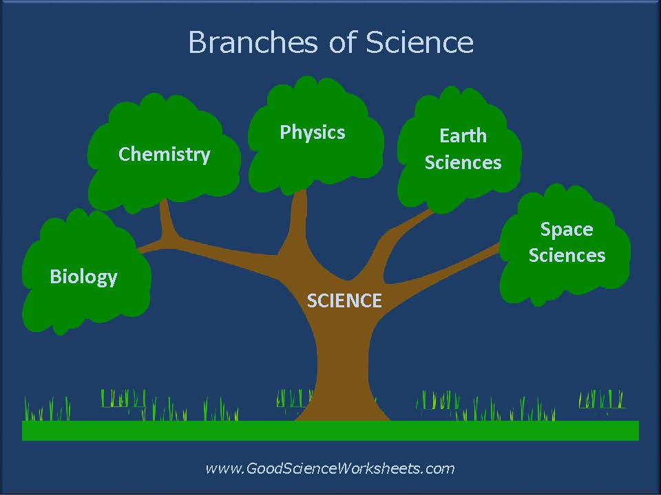 Branches of Science [Presentation]