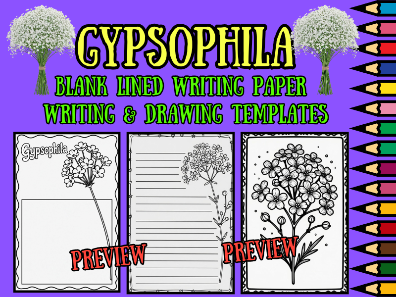Baby's Breath Gypsophila Writing Paper & Coloring Pages | NO PREP Templates