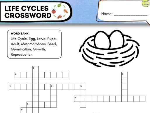 Life Cycles Crossword | Animal and Plant Life Cycles Science Worksheet