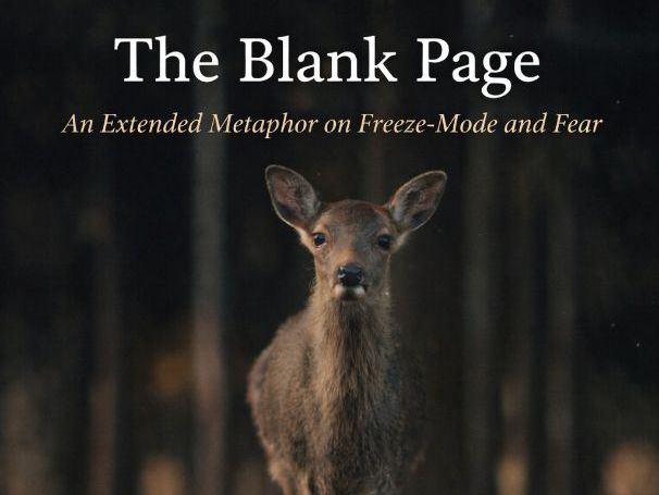 Poetry Reading & Creative Writing – The Blank Page | Writer’s Block, Pressure & Focus (Year 8)