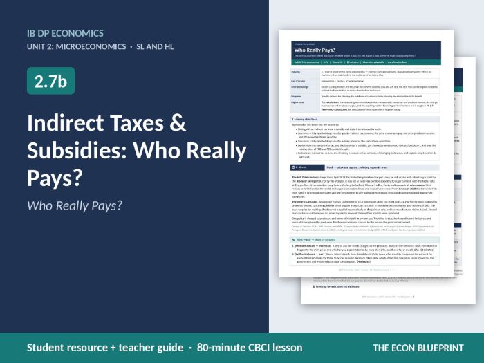 IB Economics 2.7b Indirect Taxes & Subsidies | Who Really Pays? | CBCI