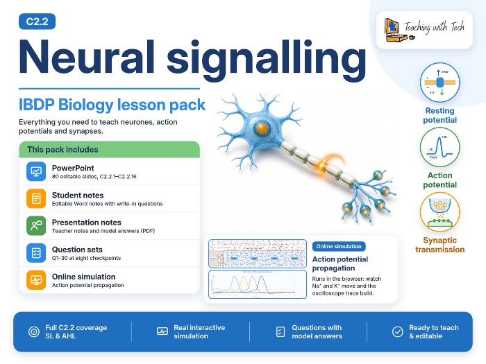 IB Biology C2.2 Neural Signalling: PowerPoint, Notes, Answers & Simulation