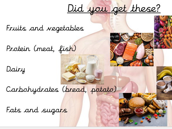 Science - Digestion and Teeth Year 4