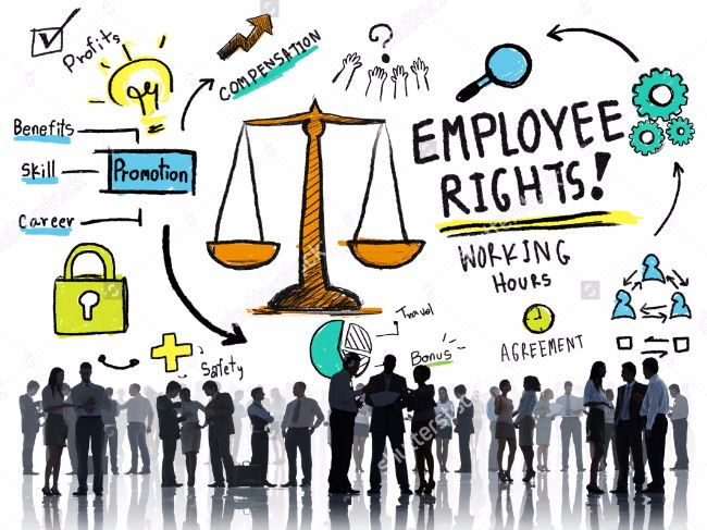 Employee Rights in the Workplace