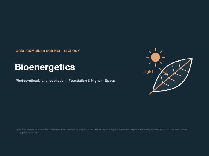 Bioenergetics: complete AQA GCSE Combined Science bundle