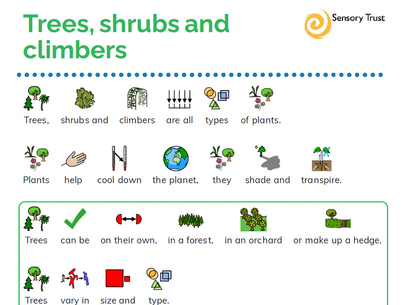 Climate Cooler Schools: trees, shrubs and climbers (explainers and crossword)