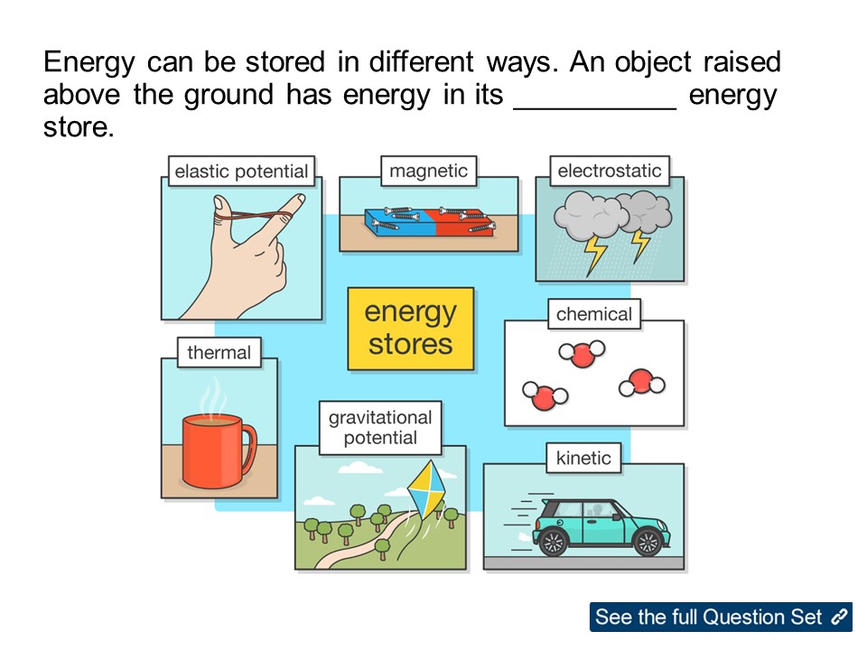 Where Does Food Store Energy At Bernardo Kuebler Blog