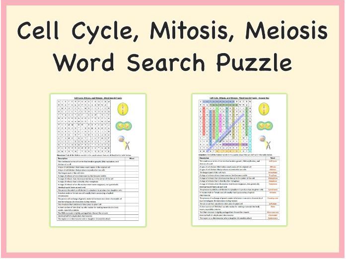 Cell Cycle, Mitosis, and Meiosis - Word Search Puzzle Worksheet, Printable PDF