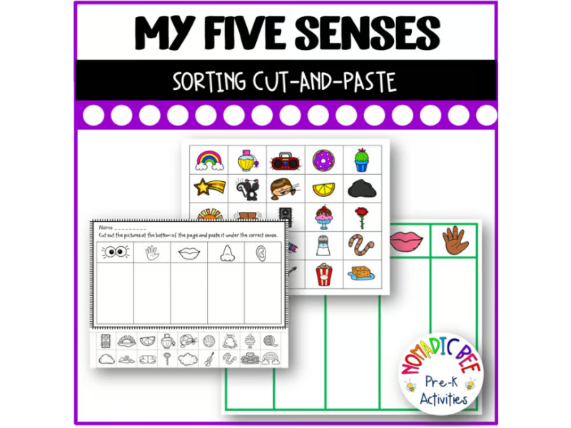'The 5 Senses' Sorting Activity