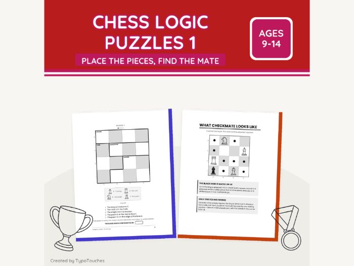 Chess Logic Puzzles 1: Find the Checkmate