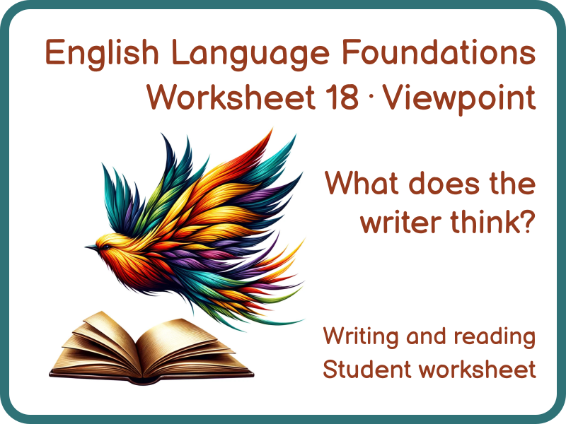 Understanding Writers’ Viewpoints Worksheet KS3 GCSE English Language 18