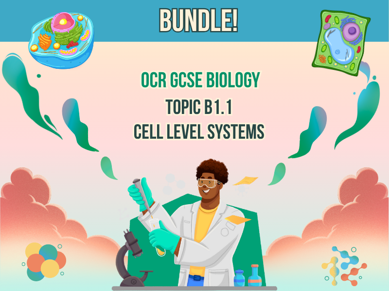 BUNDLE!! - B1.1 CELL LEVEL SYSTEMS - OCR GCSE BIOLOGY