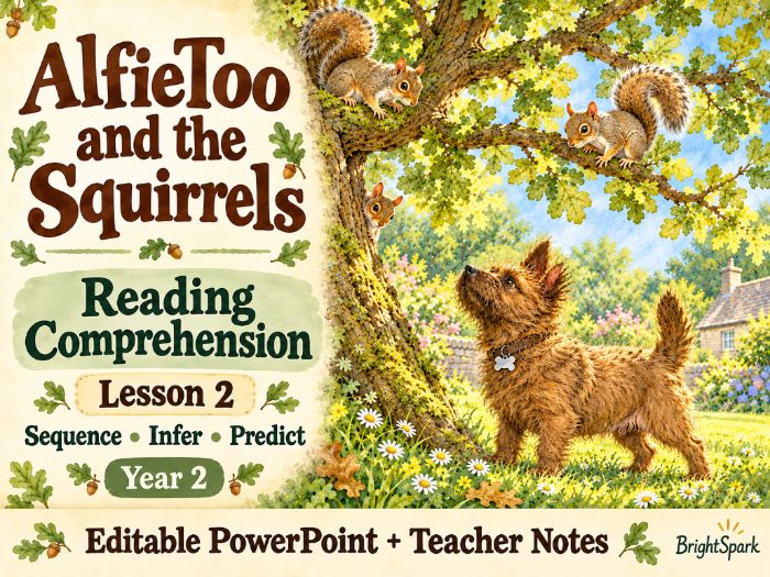 KS1 Fiction Reading Comprehension Lesson