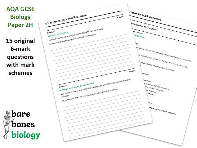 AQA GCSE Biology Paper 2 Exam-Style 6 Mark Questions + Mark Schemes