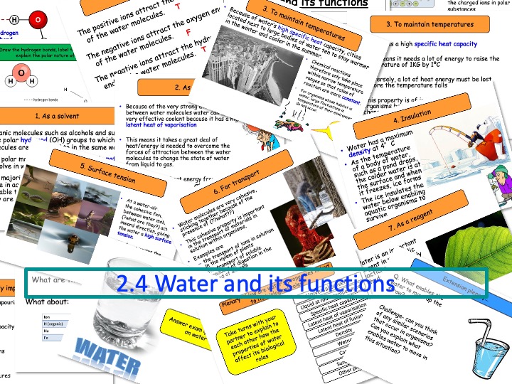 Section 1. Nucleic acids 2.4 Water and its functions NEW Year 12 Biology specification