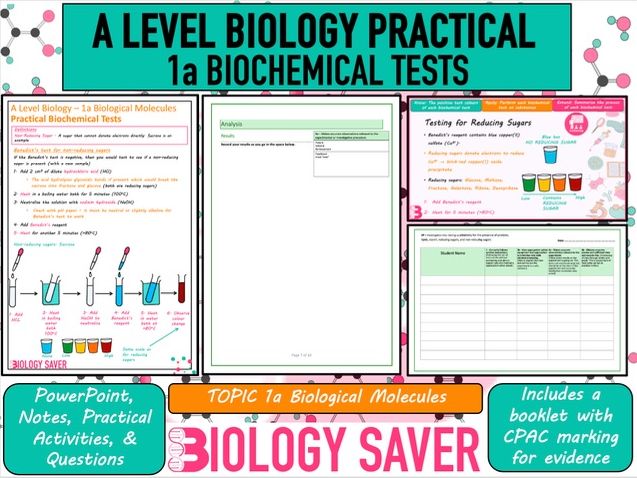 A Level Bio Practical - 1a Biochemical Tests