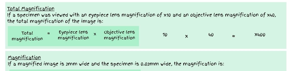 GCSE Biology Microscopy Revision Pack (Using Microscopes+Magnification ...