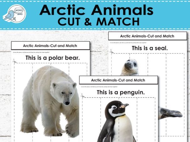 Arctic Animals Cut and Match – Real Photo Activity | Speech Therapy, ESL, Preschool, Special Educati