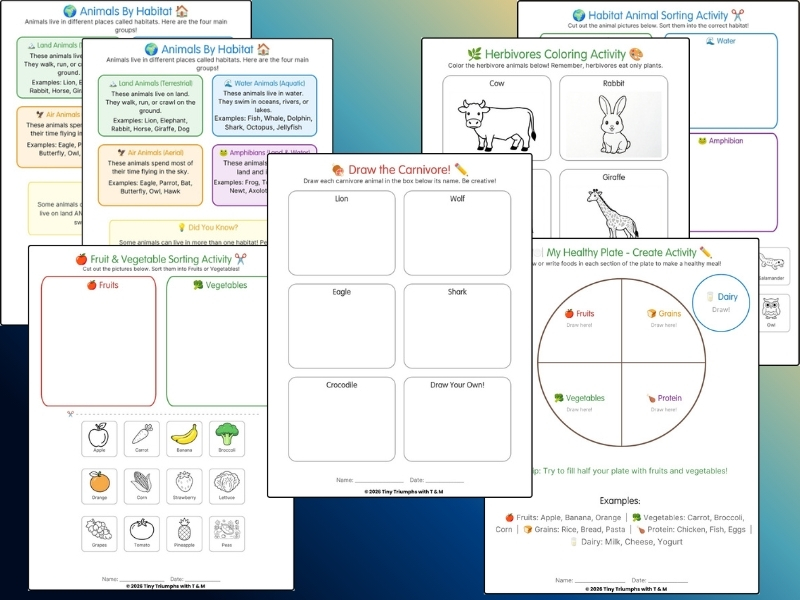 Food and Animals Activity Workbook