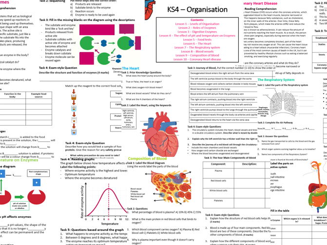 KS4 Organisation Bundle / Worksheets and Answer sheets