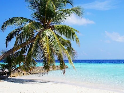 Half Term Bundle Y7/Y8 Writing Project English- Desert Island