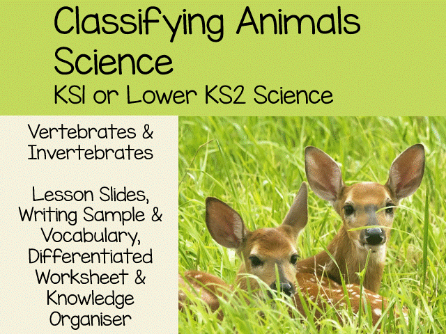 Vertebrates &  Invertebrates classifying animals part 1