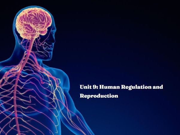 U9 Human Regulation and Reprooduction Pack