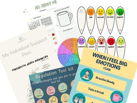Pupil support Bundle