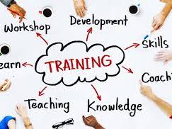 2.1.6 Training & Development