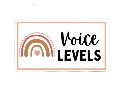 Voice/Noise Level Display