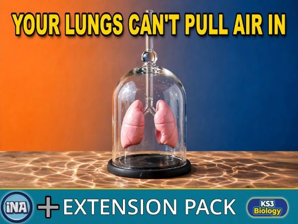 The Human Gas Exchange System and Breathing - KS3 Biology Extension Pack