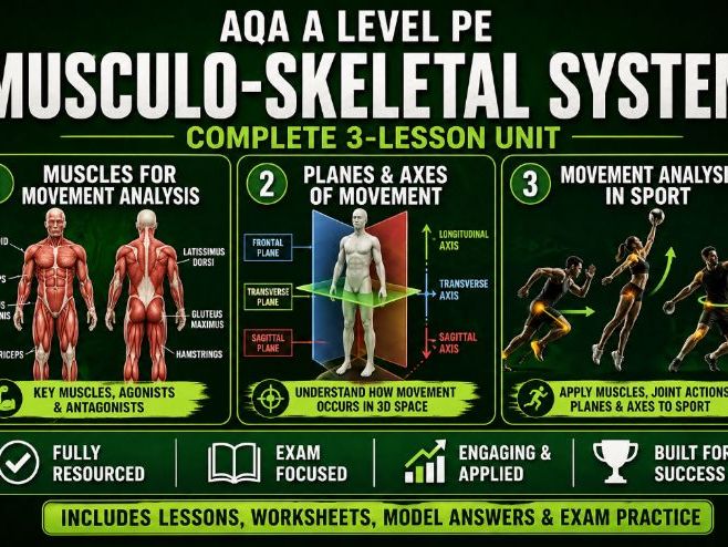 AQA A Level PE – Musculo-Skeletal System | Complete 3-Lesson Unit