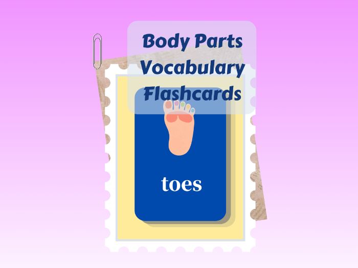16 Printable Body Parts Flashcards | Preschool ESL Basic Vocabulary