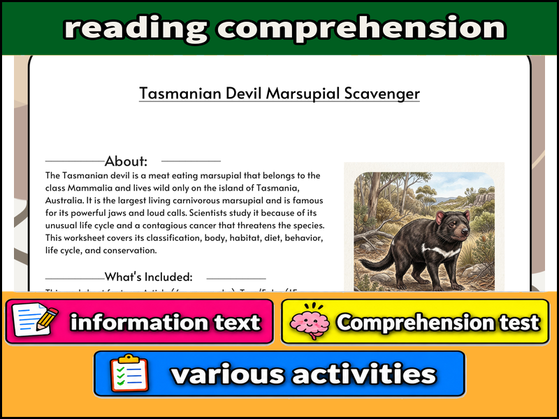 Tasmanian Devil Marsupial Scavenger  & Comprehension Test