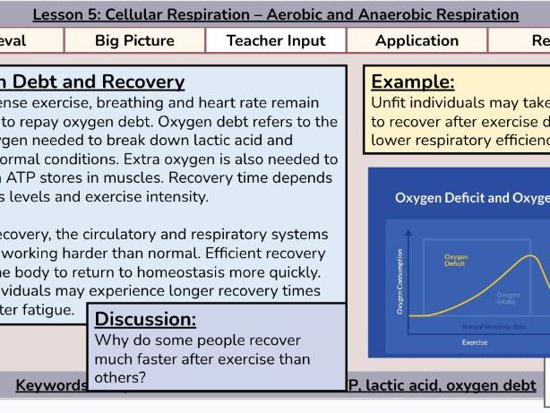 BTEC AAQ Health and Social Care - Unit 2 - Aim A
