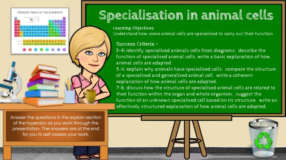 SB1.4 Specialisation in animal cells Distance learning (AQA GCSE Bio