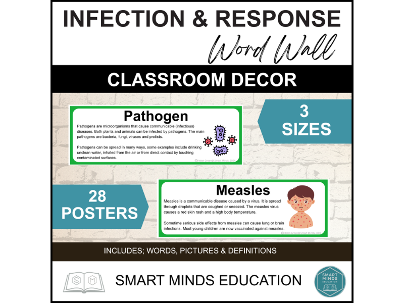 SCIENCE WORD WALL - BIOLOGY B3 - INFECTION & RESPONSE *PRINTABLE* CLASSROOM DISPLAY
