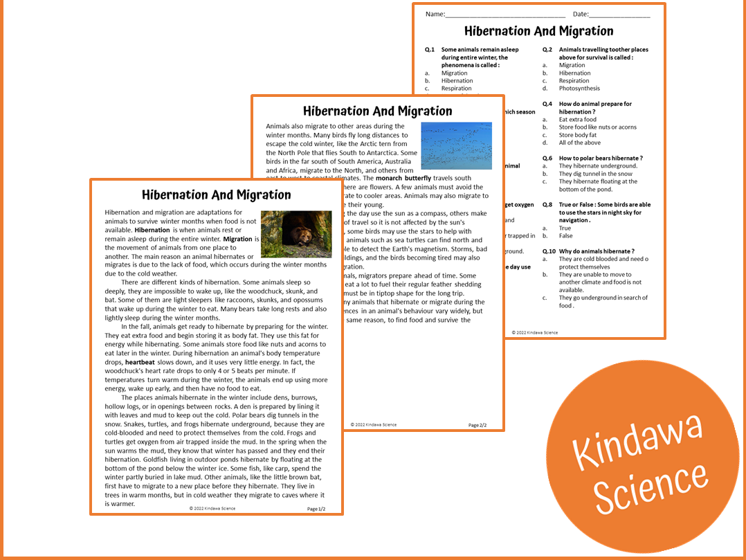 Hibernation And Migration Reading Comprehension Passage And Questions