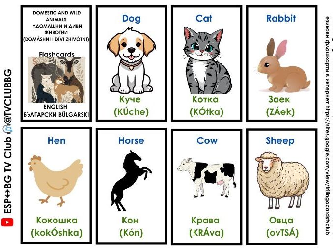 English Bulgarian nature vocabulary 96 cards