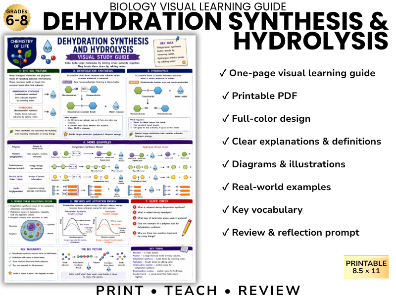 DEHYDRATION SYNTHESIS & HYDROLYSIS Biology Visual Learning Guide | Grade 8 & Middle School Science