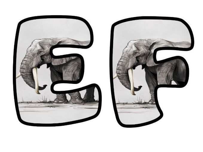 Elephant Safari Zoo Animals Classroom Display | Lettering Set | Upper & Lowercase, 0-9 and Signs